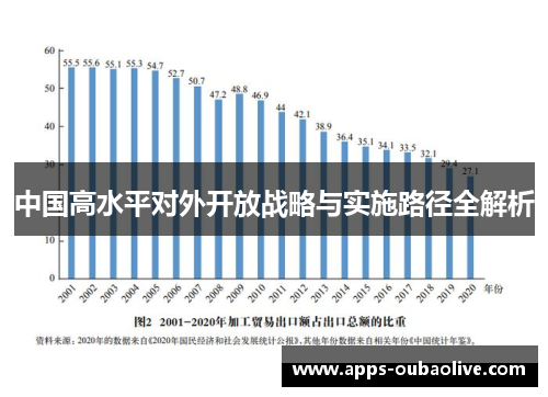 中国高水平对外开放战略与实施路径全解析