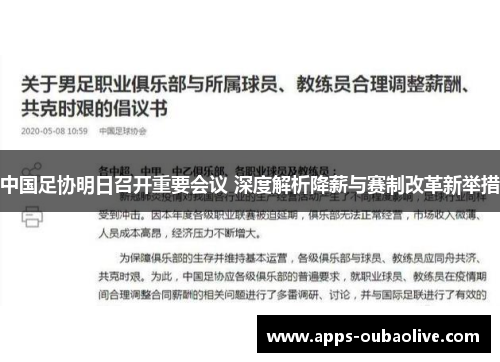 中国足协明日召开重要会议 深度解析降薪与赛制改革新举措