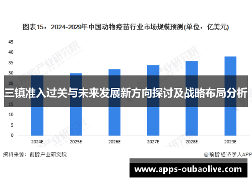 三镇准入过关与未来发展新方向探讨及战略布局分析