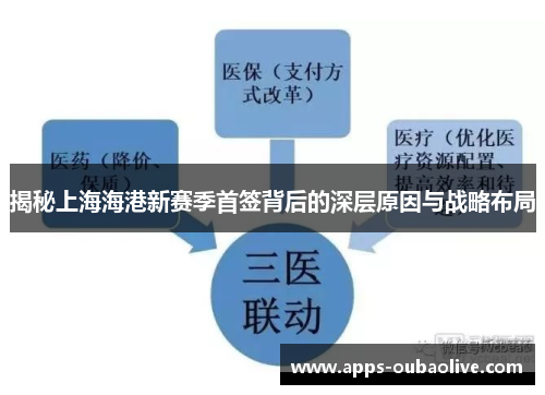 揭秘上海海港新赛季首签背后的深层原因与战略布局