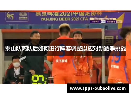泰山队离队后如何进行阵容调整以应对新赛季挑战