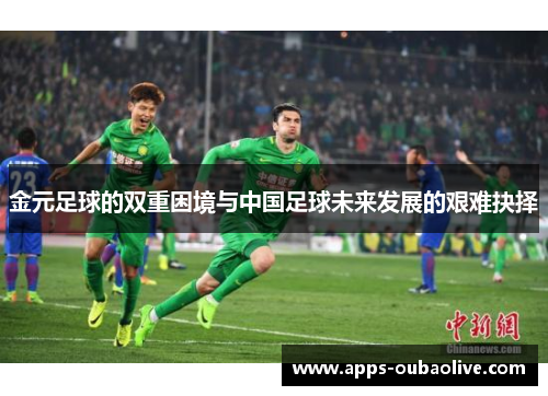金元足球的双重困境与中国足球未来发展的艰难抉择
