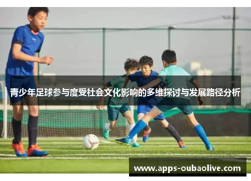 青少年足球参与度受社会文化影响的多维探讨与发展路径分析
